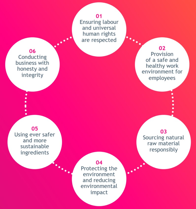 Diagram of Reckitt's six responsible sourcing principles, explained in detail below